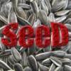 XSeeDX